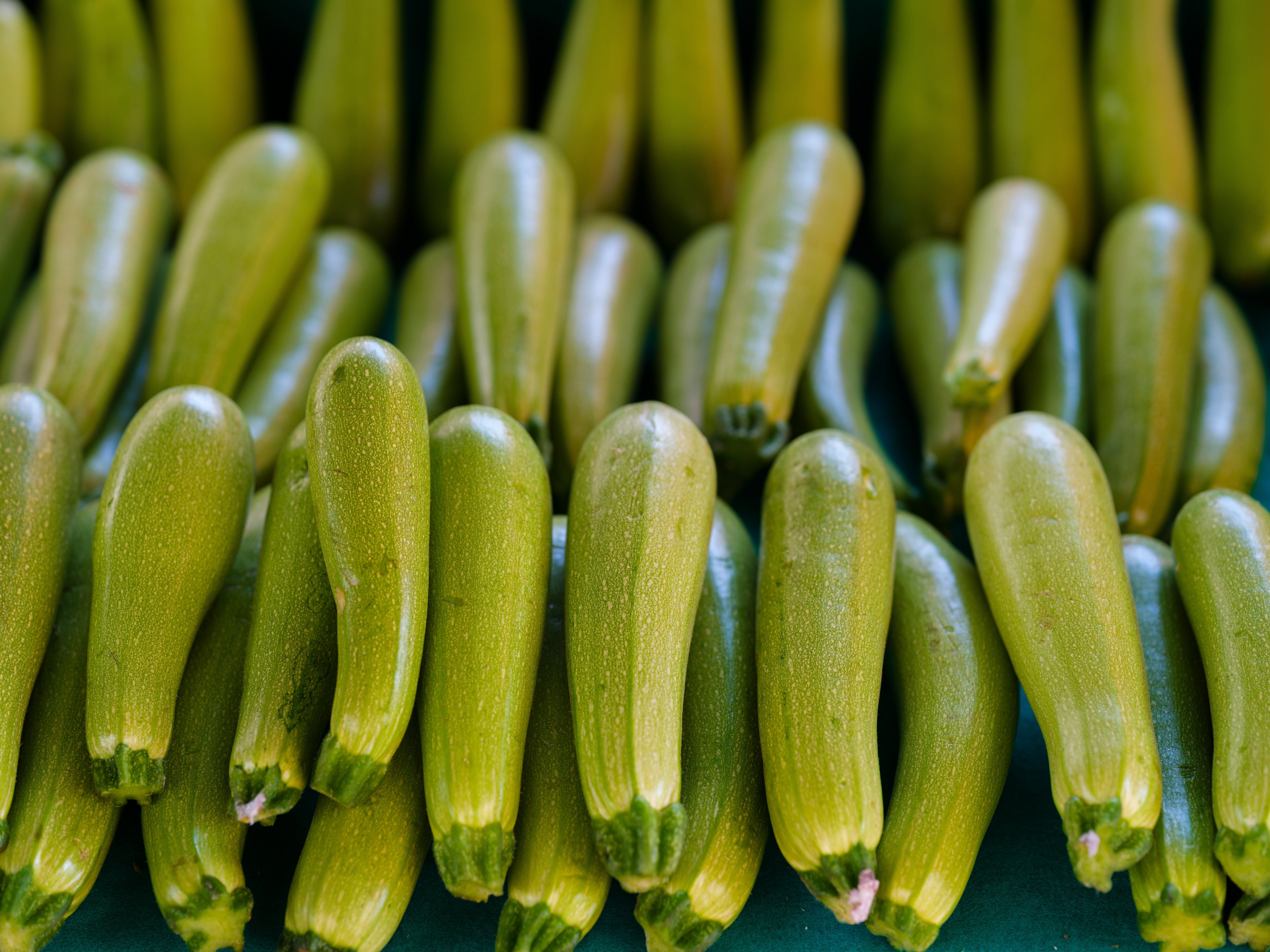 Courgette