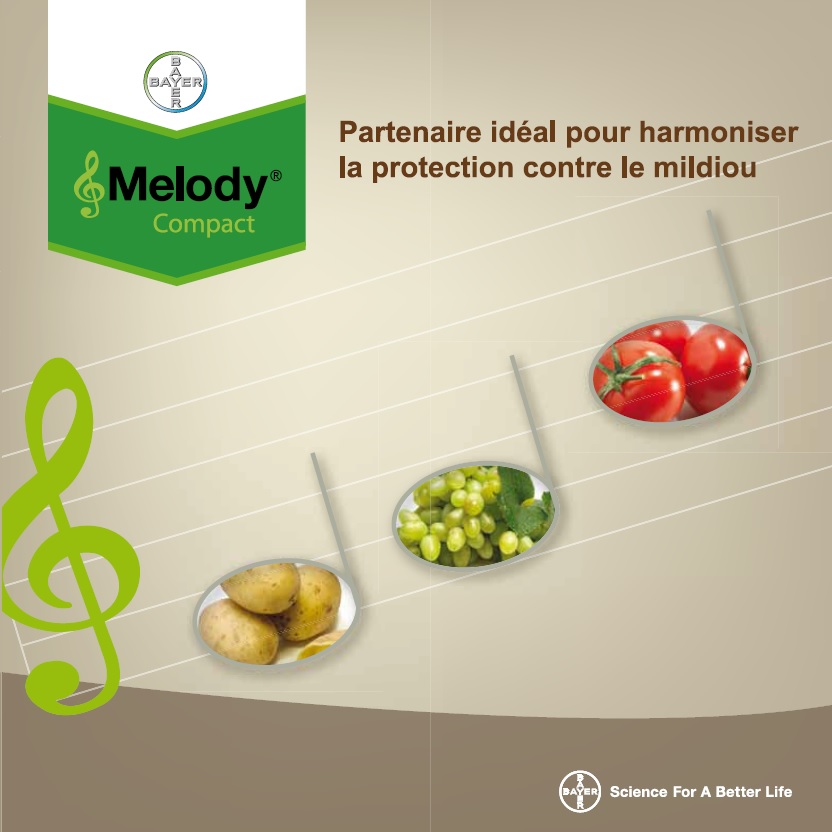 Melody Compact